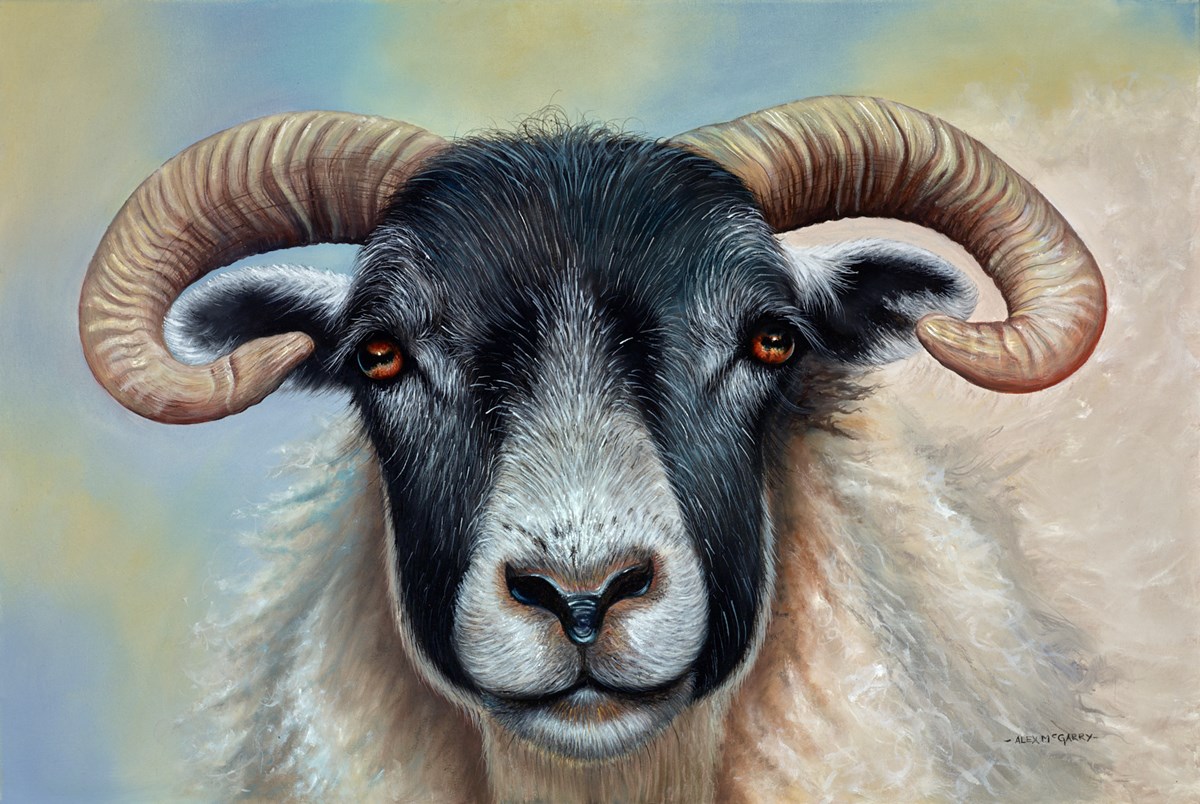 Ram