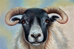 Ram by Alex McGarry - Original Painting on Stretched Canvas sized 30x20 inches. Available from Whitewall Galleries