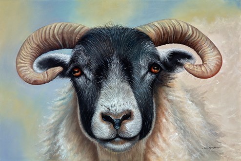 Ram by Alex McGarry - Original Painting on Stretched Canvas